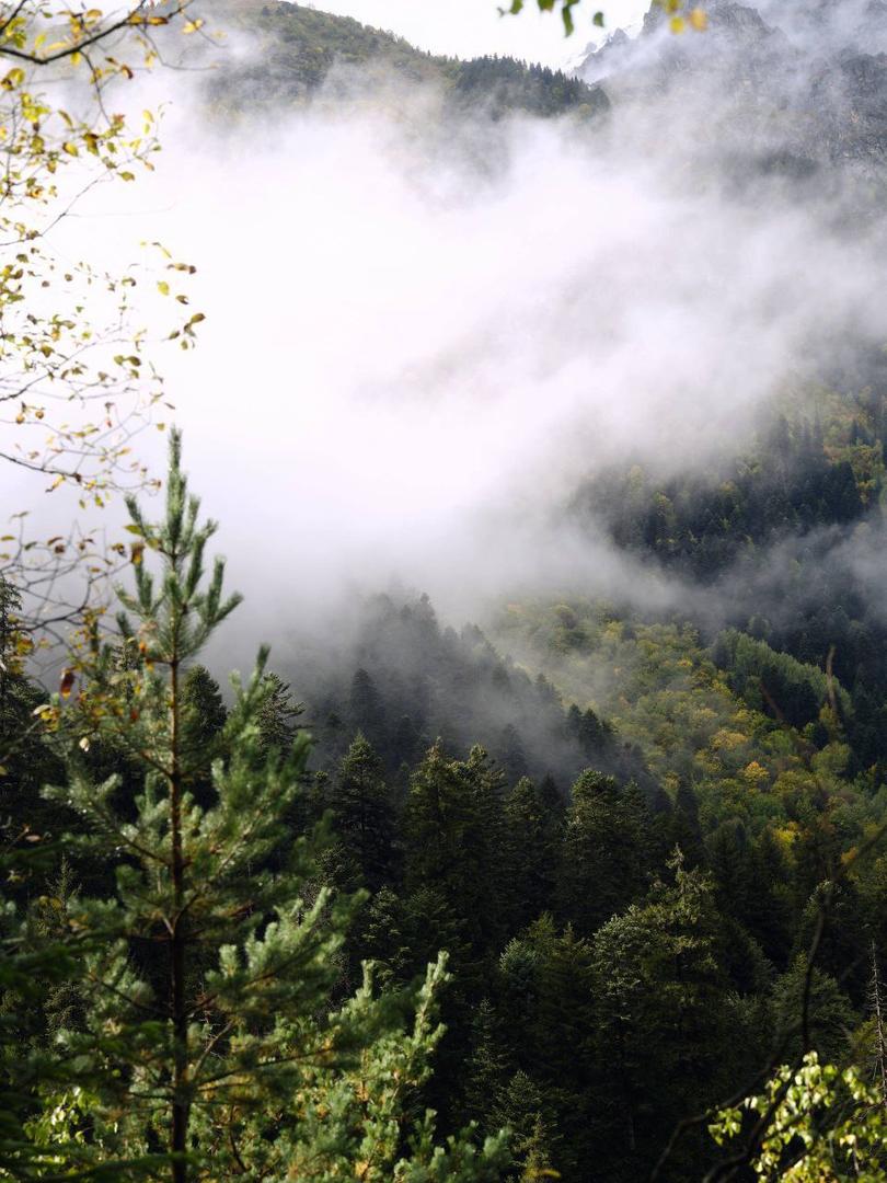 Локация Amanauz, Домбай